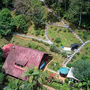 Lodge Bosque De Niebla Birding & Nature 